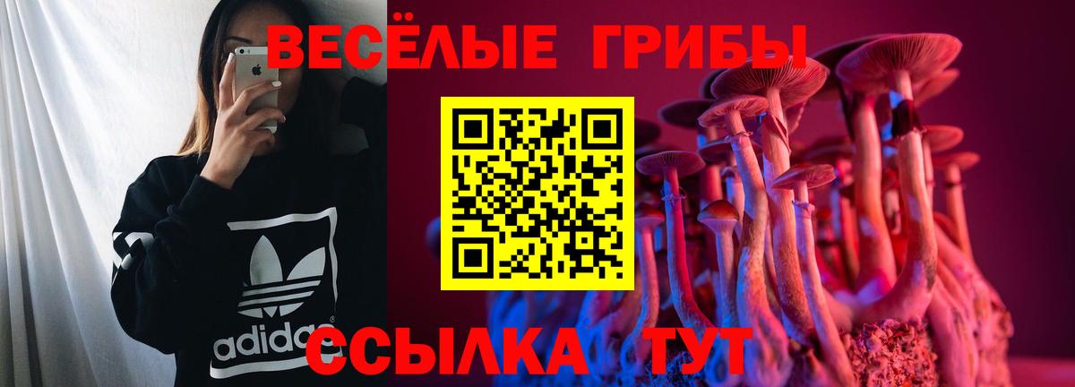 Псилоцибиновые грибы GOLDEN TEACHER  Вход с VPN  Шатура 